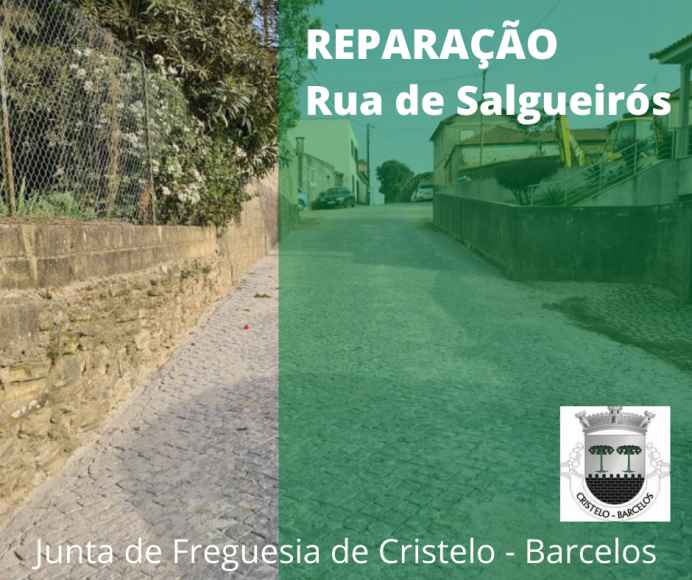 Rua Salgueirós